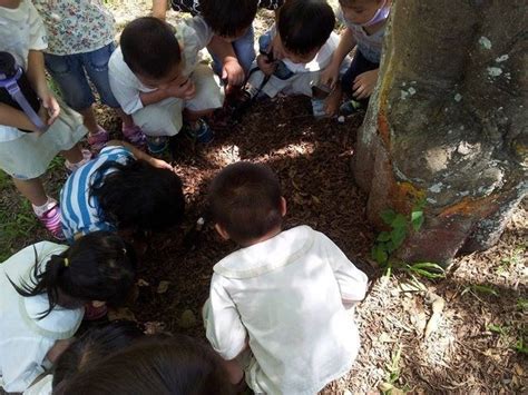 小鳥死了怎麼辦|寵物鳥意外死亡處理指南